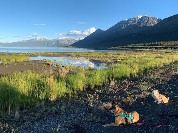 Amy and Penny relaxing near Kluane National Park. 