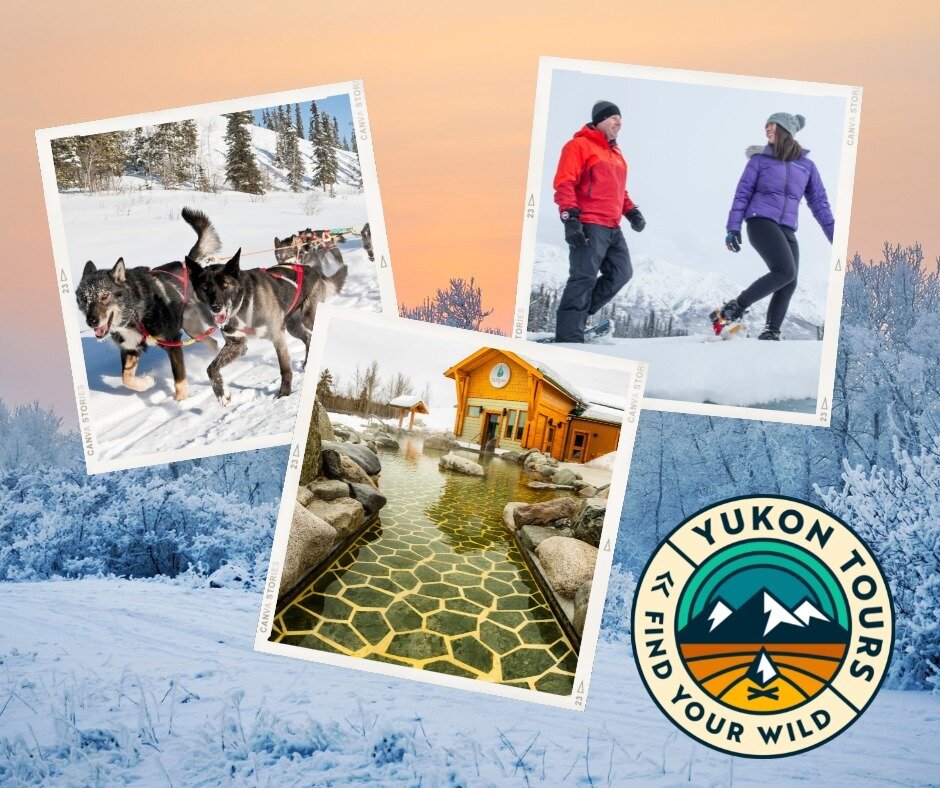 Zip up your winter jackets and bundle up, it's winter in the Yukon! 

We have a generous amount of winter tours to keep you active this season. Have you dreamt of driving your own team of sled dogs? Want to try your luck at ice fishing? 

Come see wh