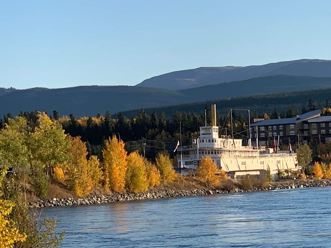 Take the scenic, 5-kilometer walk around the Millennium Trail to absorb the rich colors of Fall in the North! 🍂🍁

 #theyukoniscalling #yukontours #travelyukon