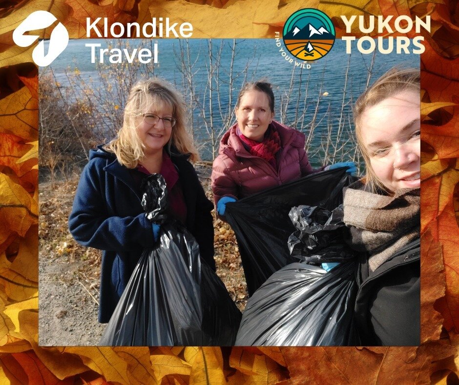 Our Team snuck out of the office today to participate in the &quot;Fall Cleanup the Community&quot; event on the traditional territories of the Kwanlin D&uuml;n First Nation &amp; the Ta&rsquo;an Kw&auml;ch&rsquo;&auml;n Council. 

#TheYukonisCalling