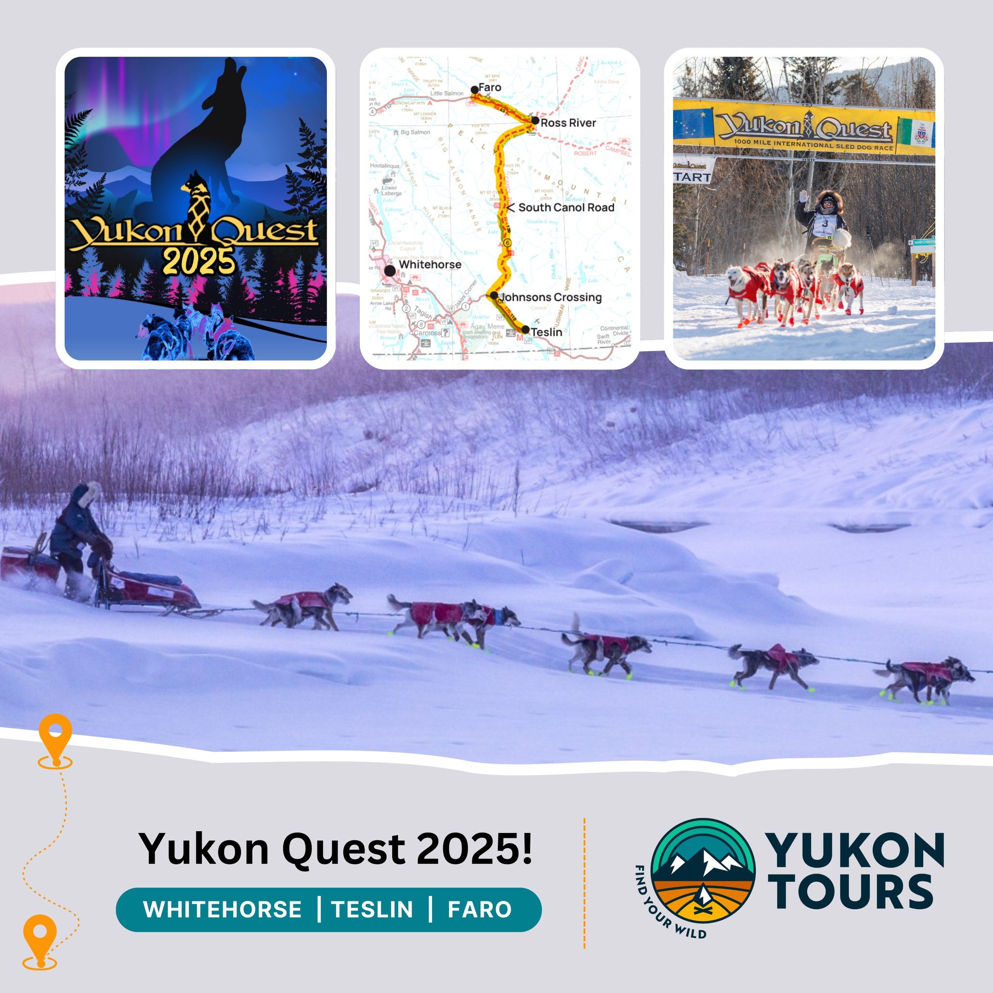 LOCAL EVENT

🐾 The Yukon Quest is Underway! ❄️

The ultimate northern adventure has begun! Mushers and their incredible sled dog teams are racing across 1,000 miles of breathtaking wilderness, facing extreme conditions, rugged terrain, and the relen