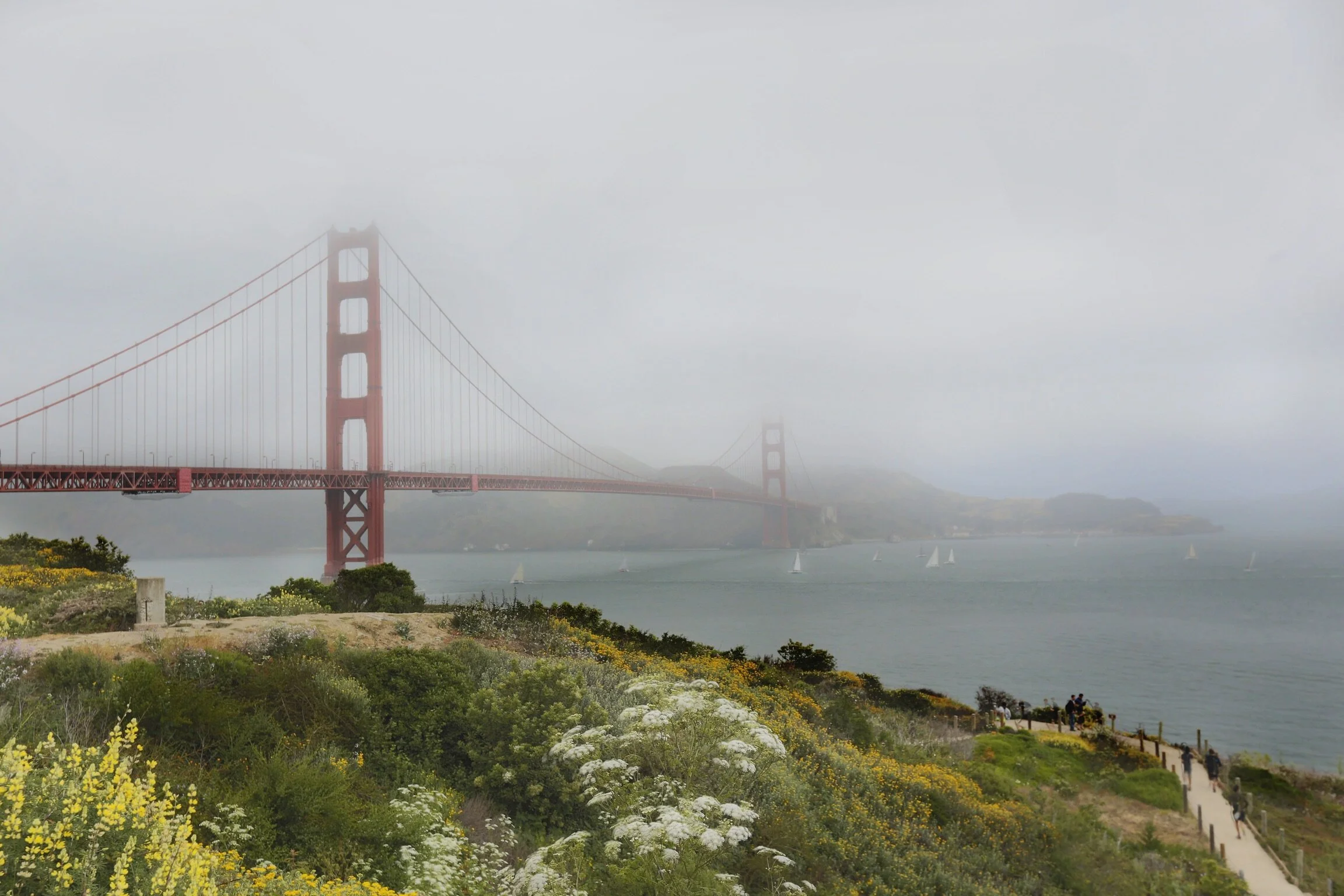 The Foggy Golden Gate Bridge