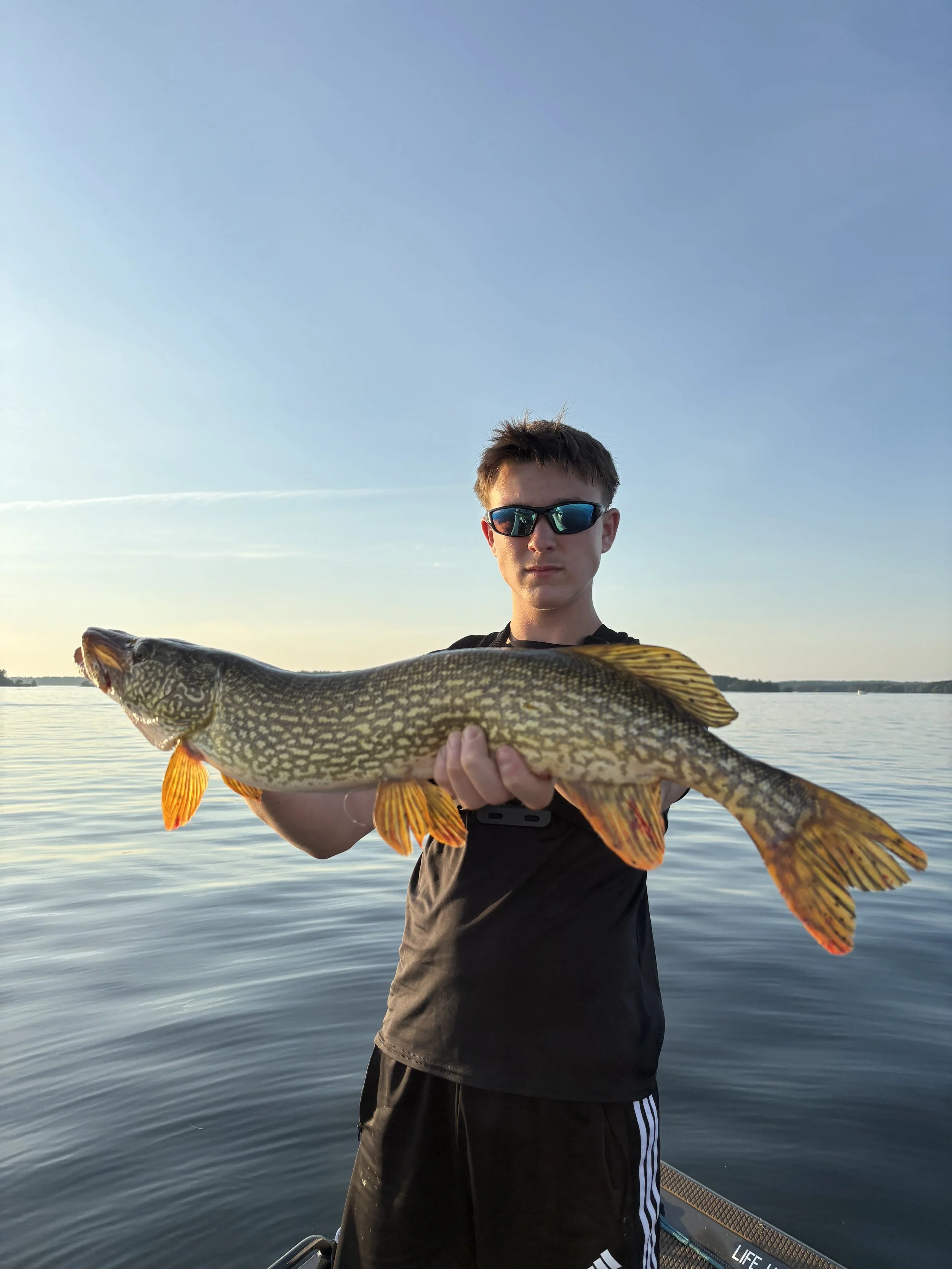 Young man in sunglasses holding a large northern pike fish on a boat during sunset over a calm lake.