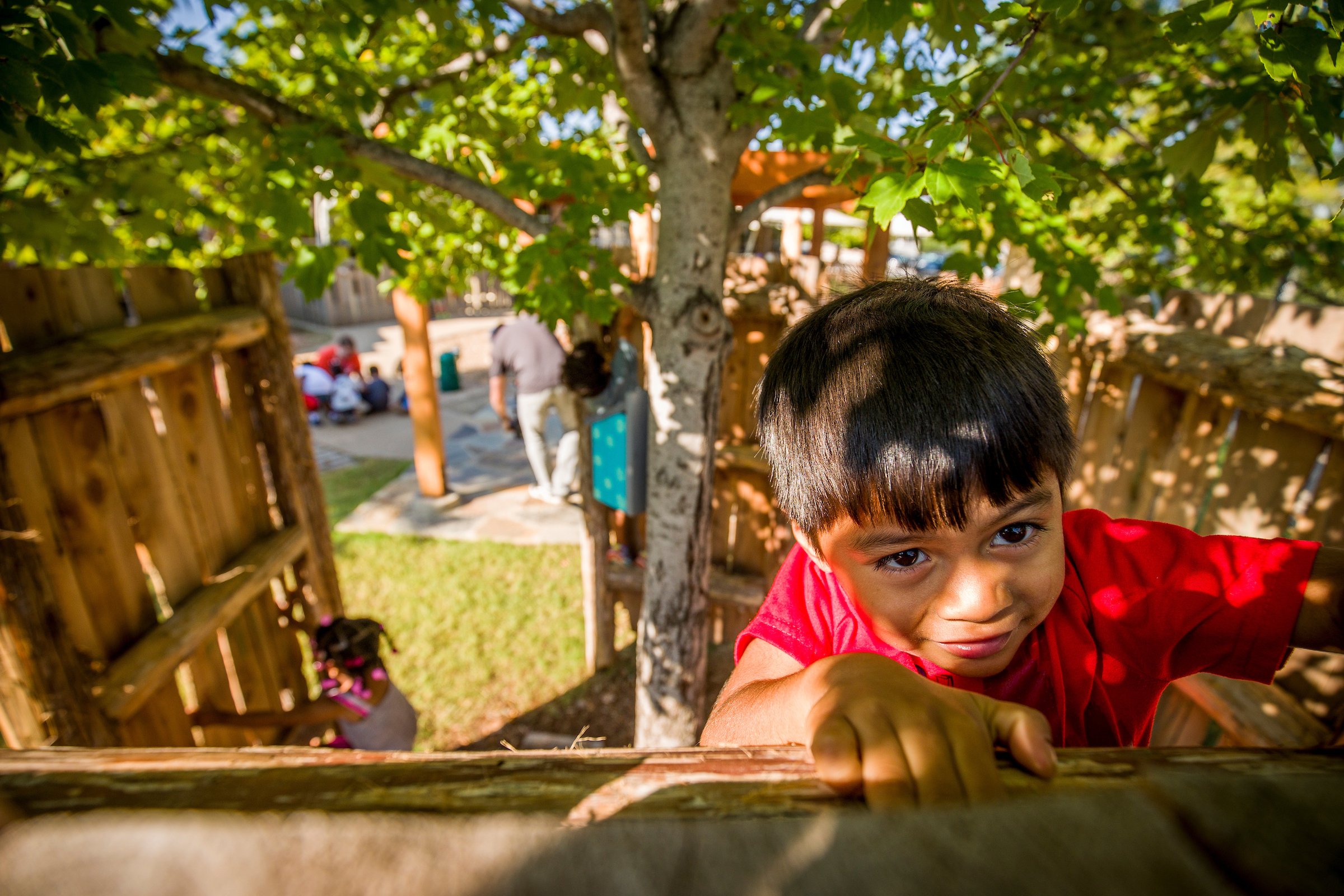 young boy climbing a fence in a shaded and enclosed area in a nature classroom