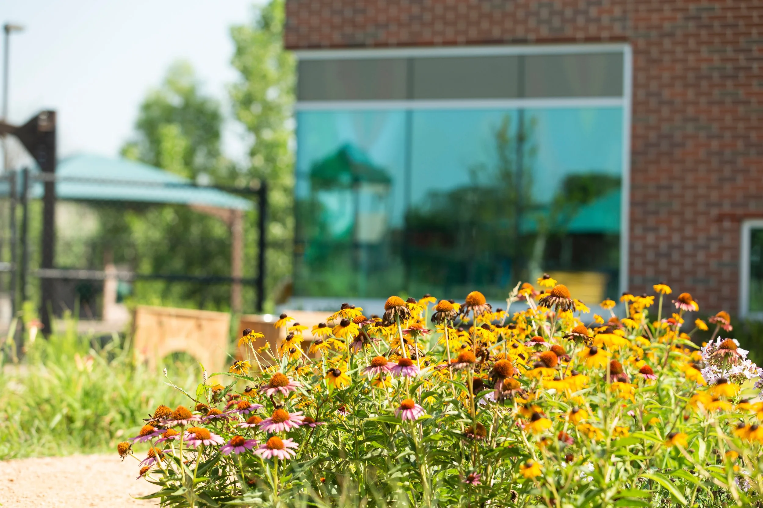 Outdoor Classroom Landscape & Pollinators — Good Fieldwork
