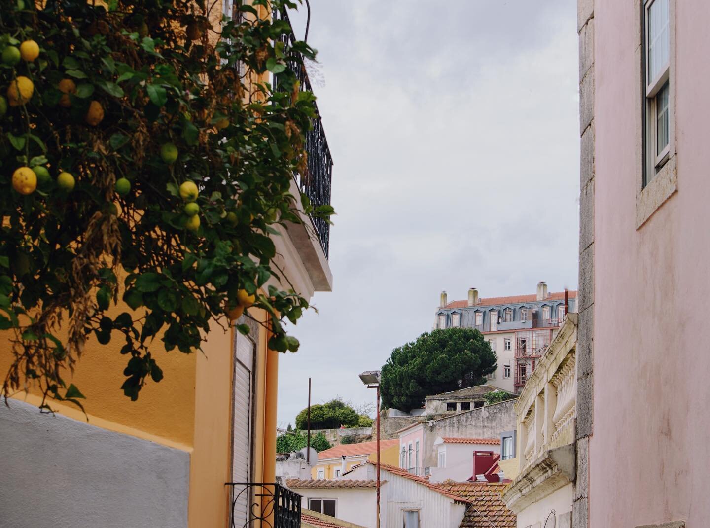 Lisbon in layers 💛💛💛

If you&rsquo;re visiting Lisbon I highly recommend spending at least a day wandering through the old district of Alfama. There&rsquo;s so much to discover down every alley.

And if you are there wandering these streets on a T