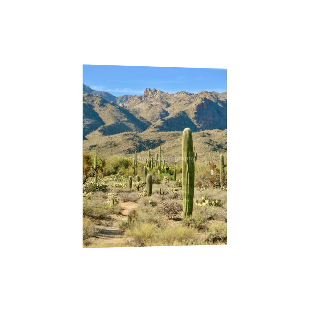 ptq_1_6_0_318_2448_3060_0_false_ffffff_0_0_f3d25a5e6ac3a244f00e90bca9f5868b.png