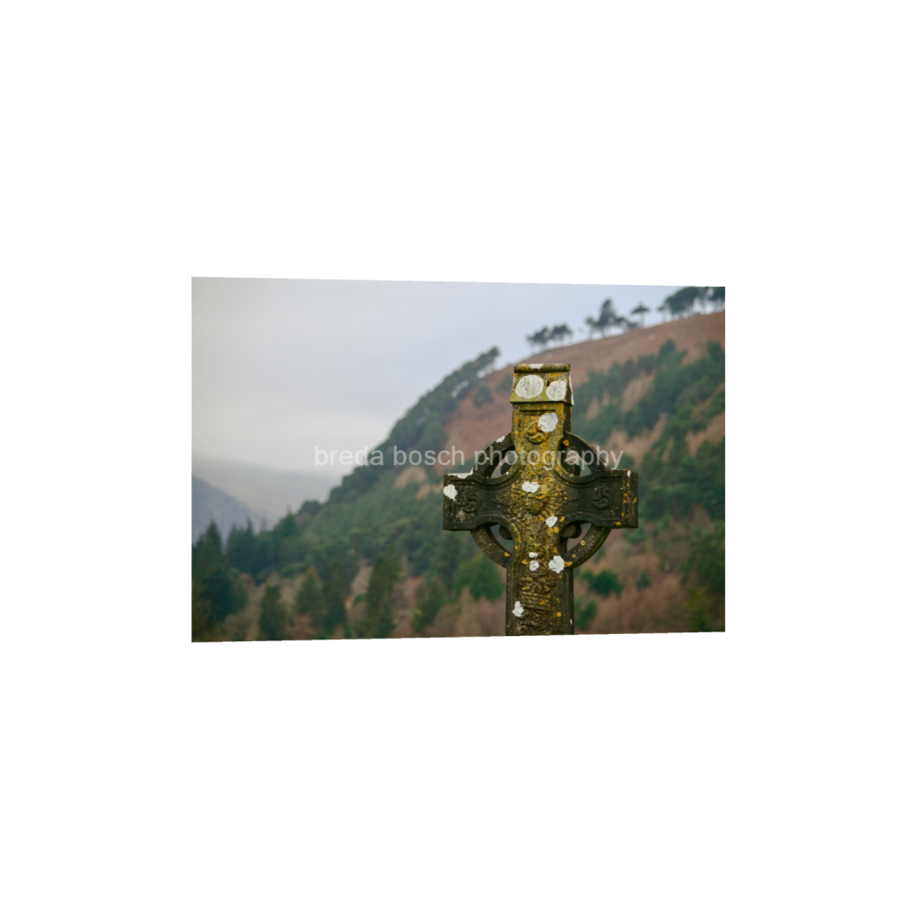 ptq_1_3_16_0_4896_3264_0_false_ffffff_0_0_f3d25a5e6ac3a244f00e90bca9f5868b.png