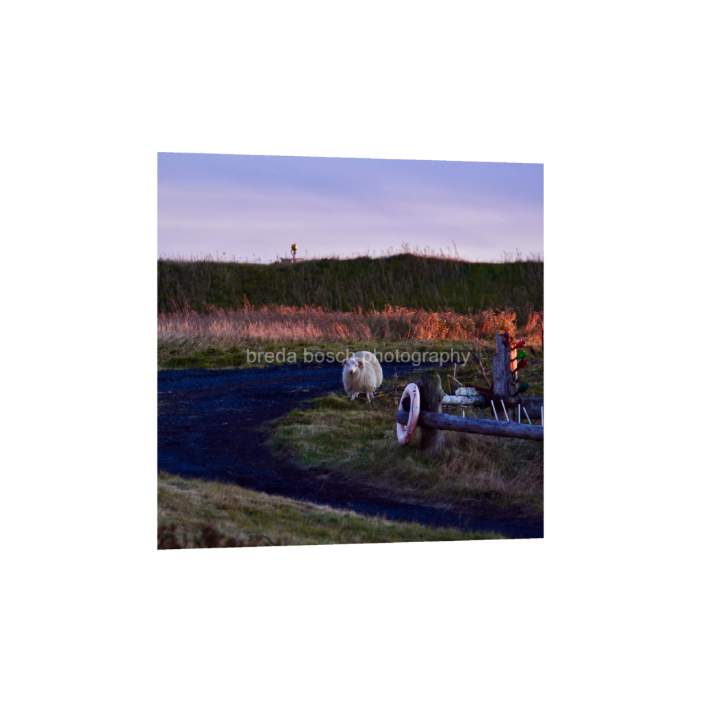 ptq_1_0_0_570_2237_2237_0_false_ffffff_0_0_f3d25a5e6ac3a244f00e90bca9f5868b.png