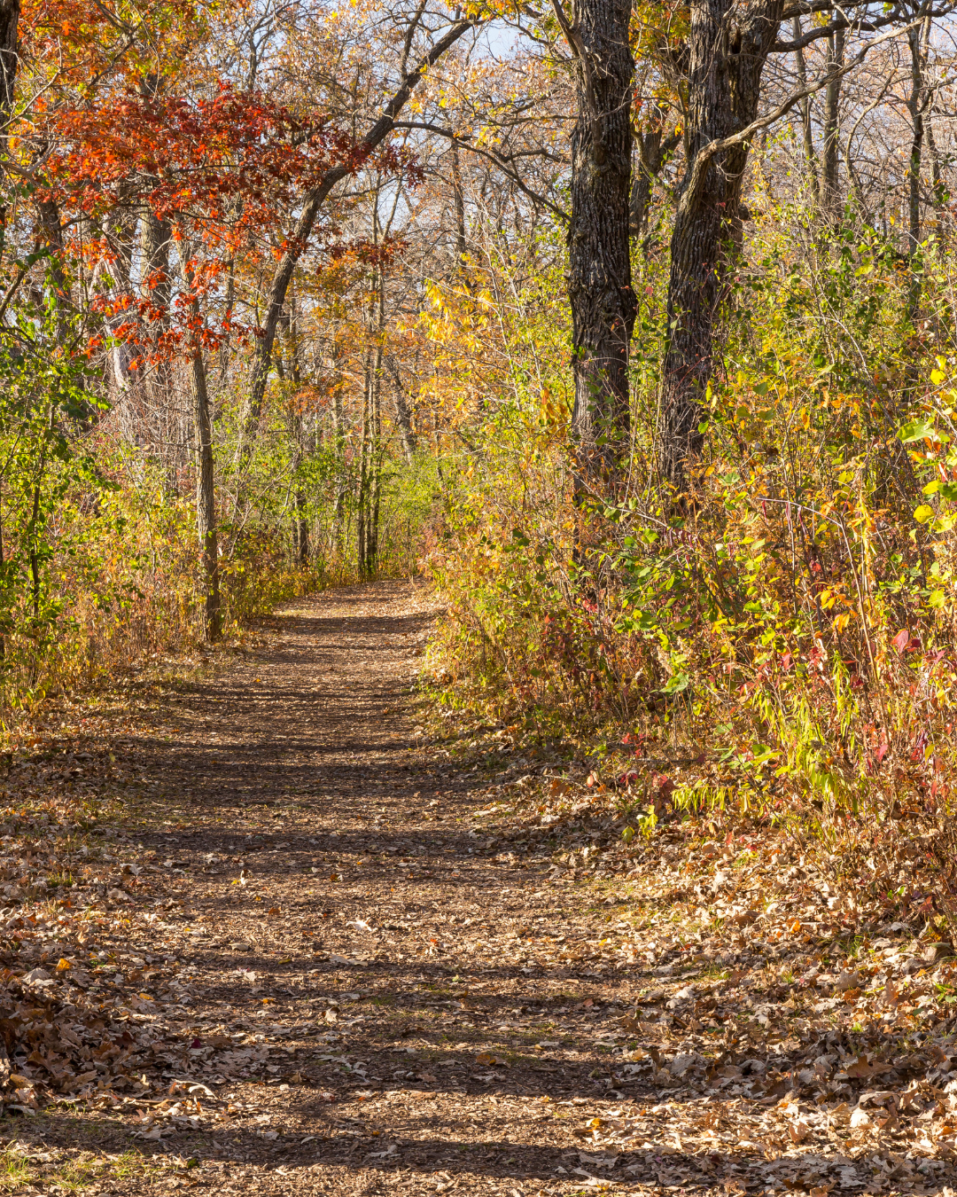 A look at DBT: And how it could help your teen (and family)