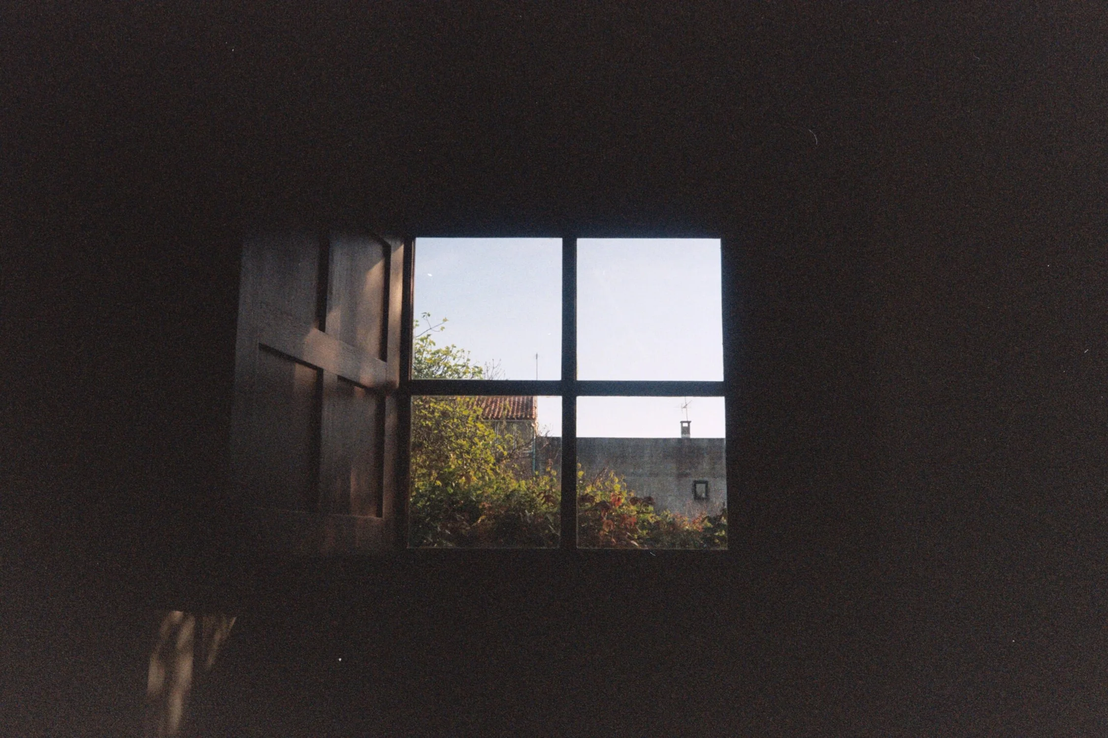 rosales_aAA026.jpg