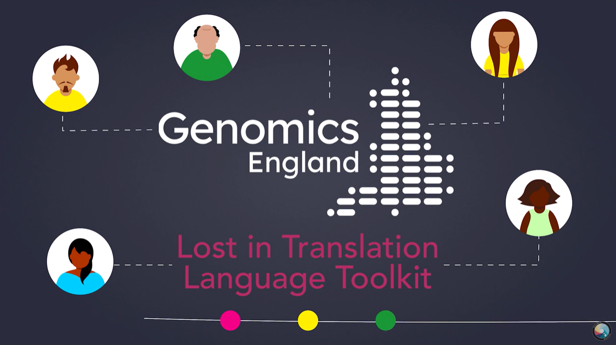 Animation options | CC Animation Studio