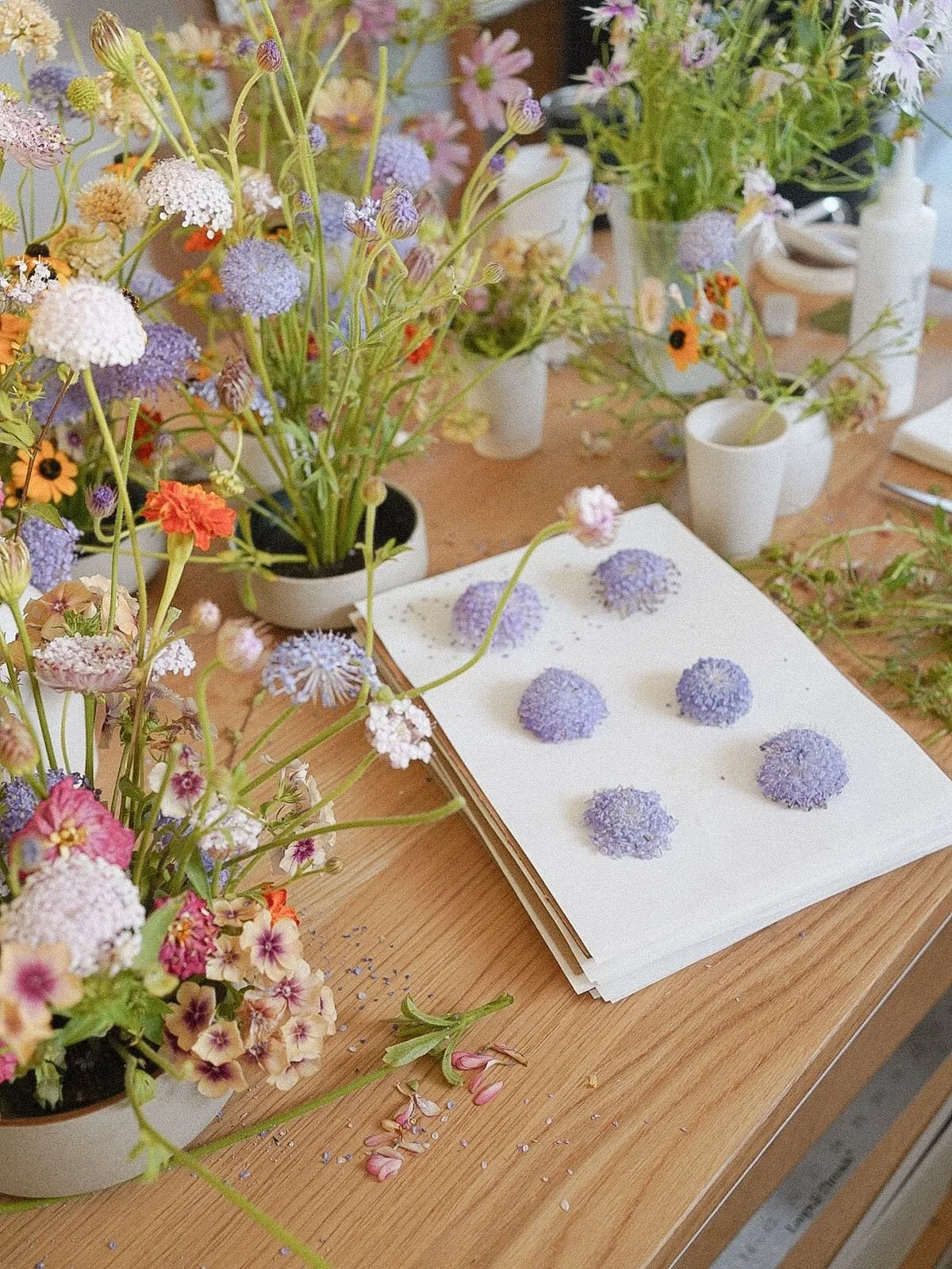 Flower Press - MaeLily.jpg