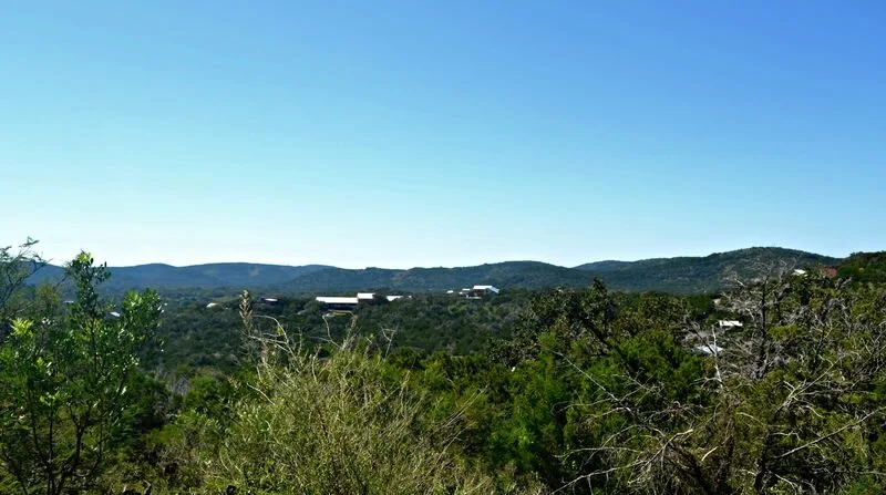 Mountain Laurel View.jpeg