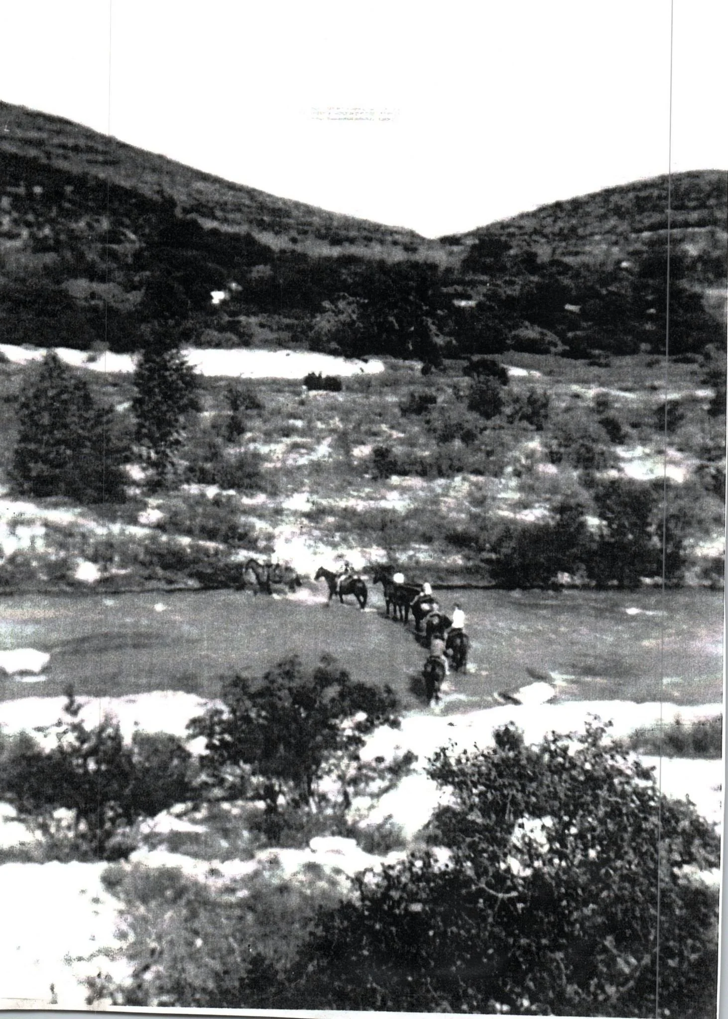 Scan2022-12-14_163026 (Page 1).jpg