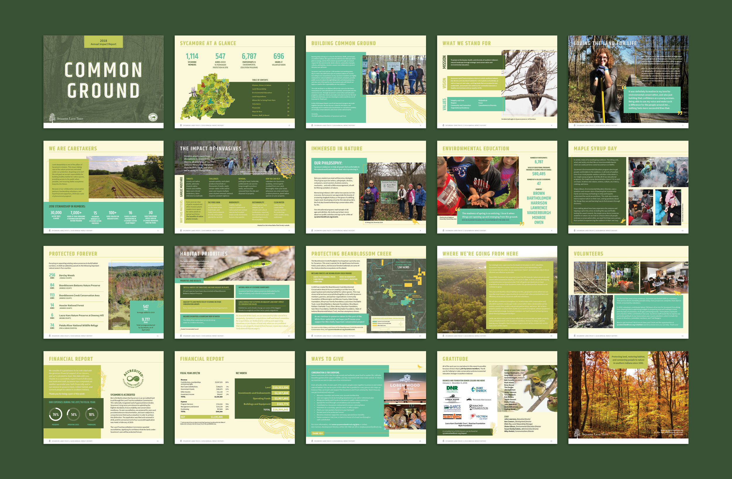 2018ReportMockup2.jpg