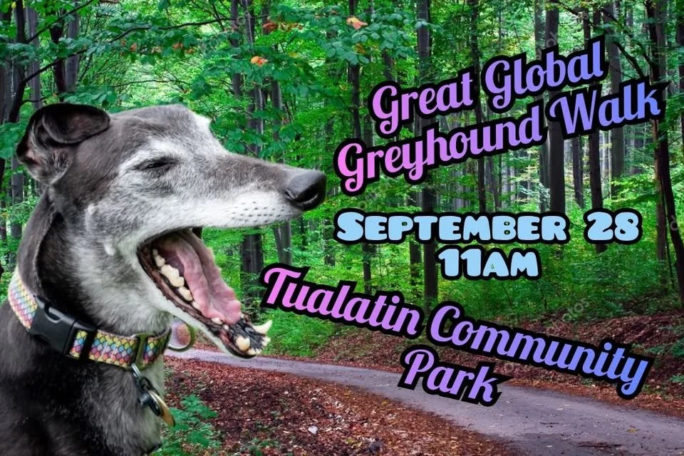 Great Global Greyhound Walk - Portland Metro area@ Tualatin Community Park