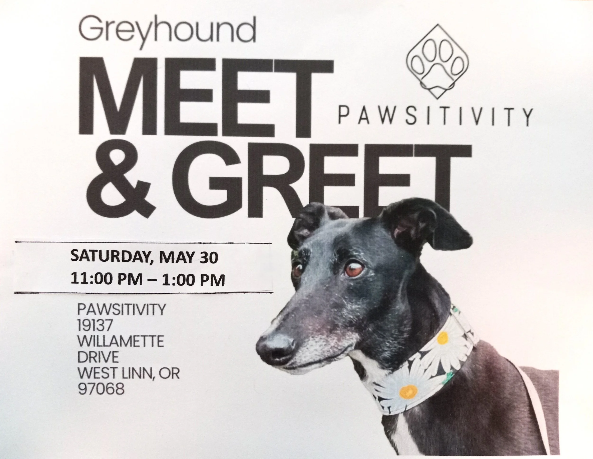 Meet &amp; Greet @ Pawsitivity