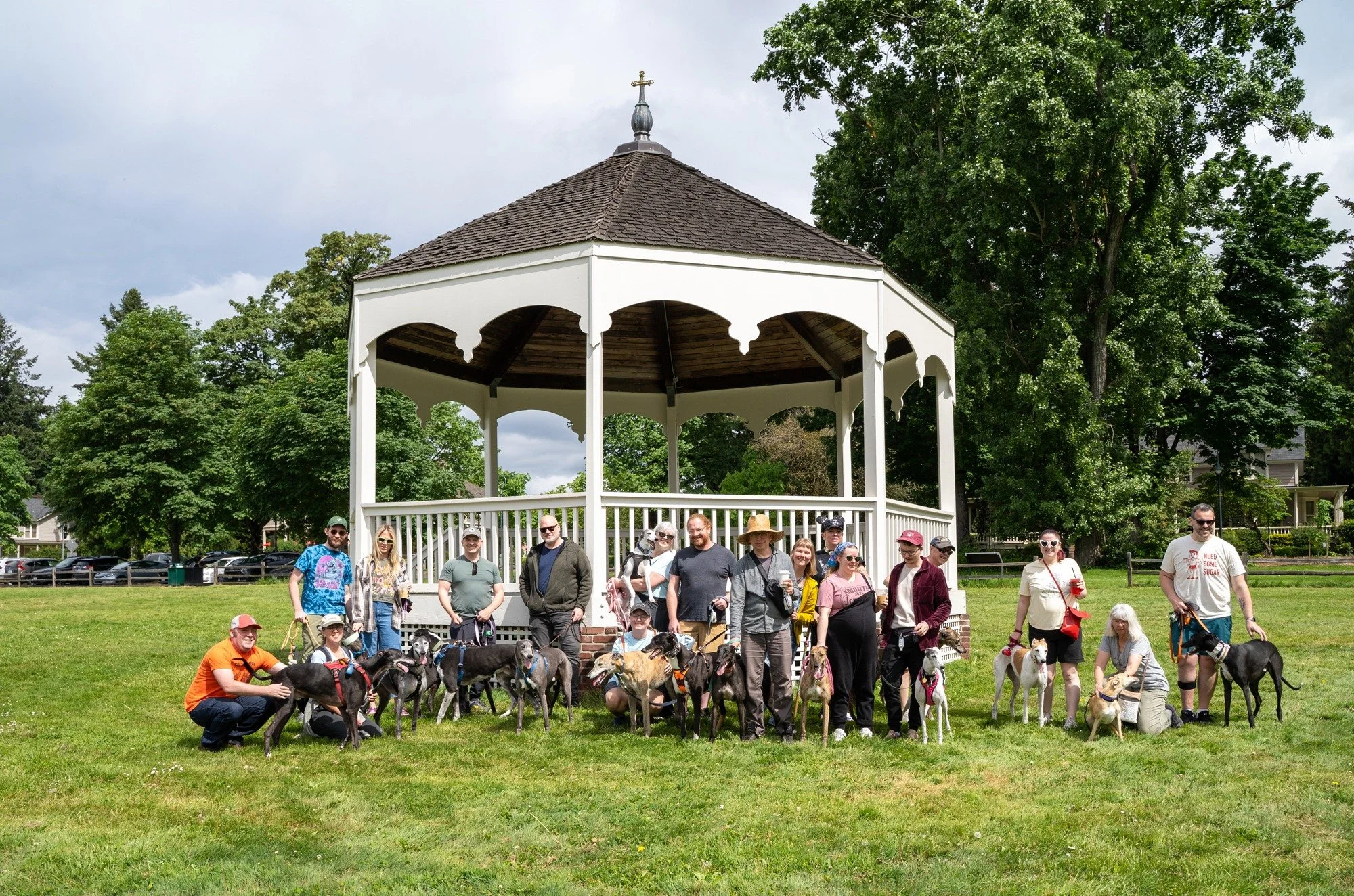Group Walk