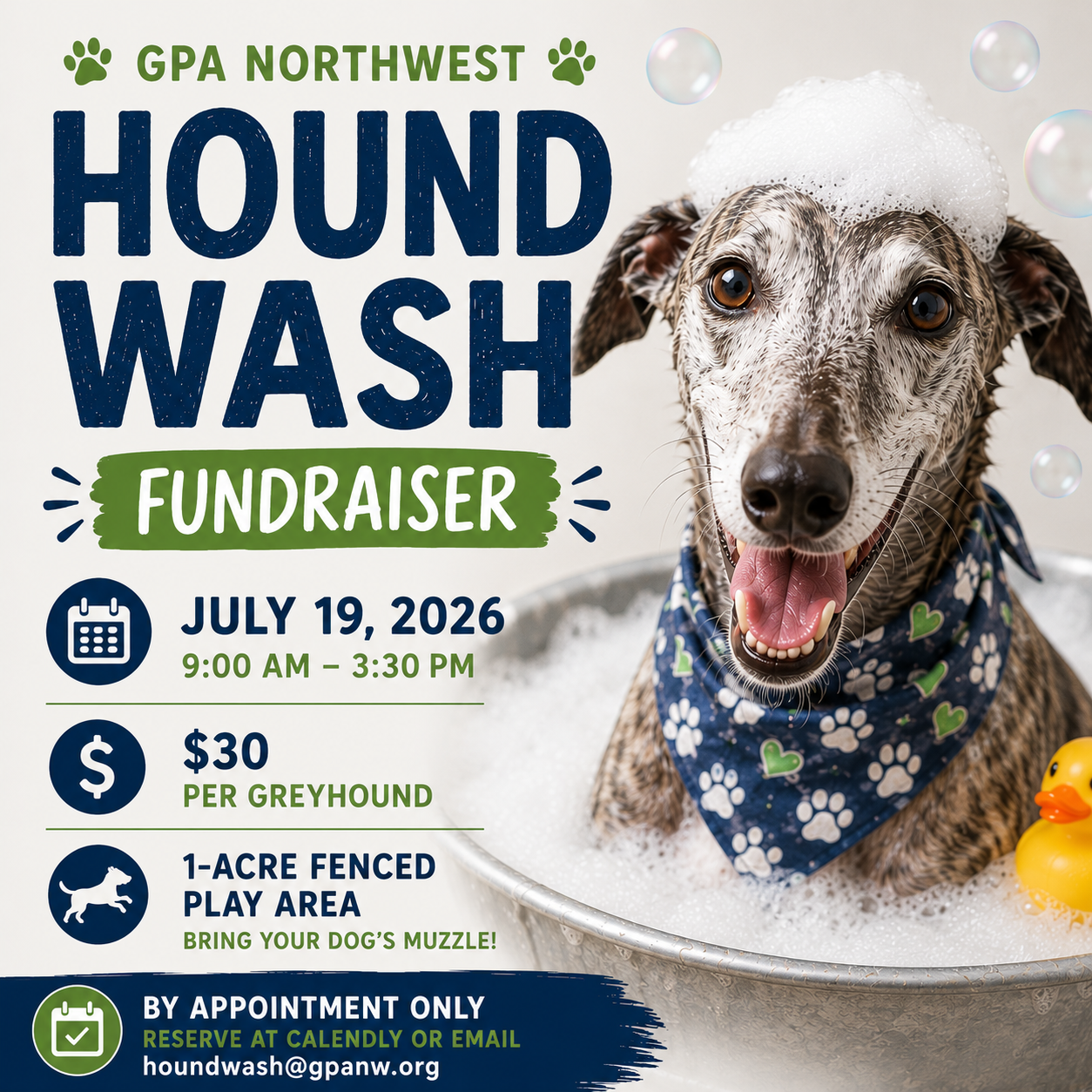 July Playdate/Hound Wash