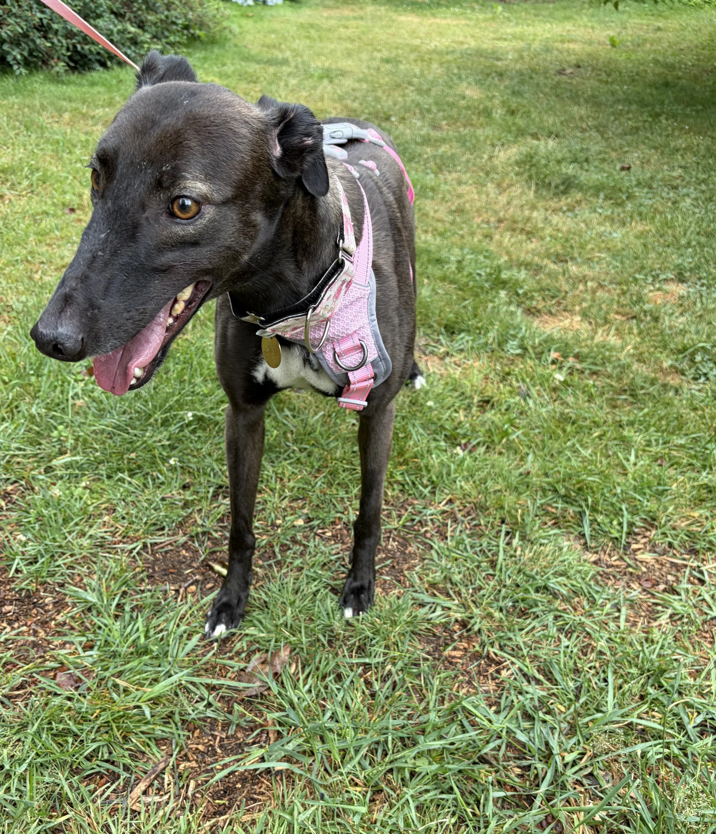 Zoe