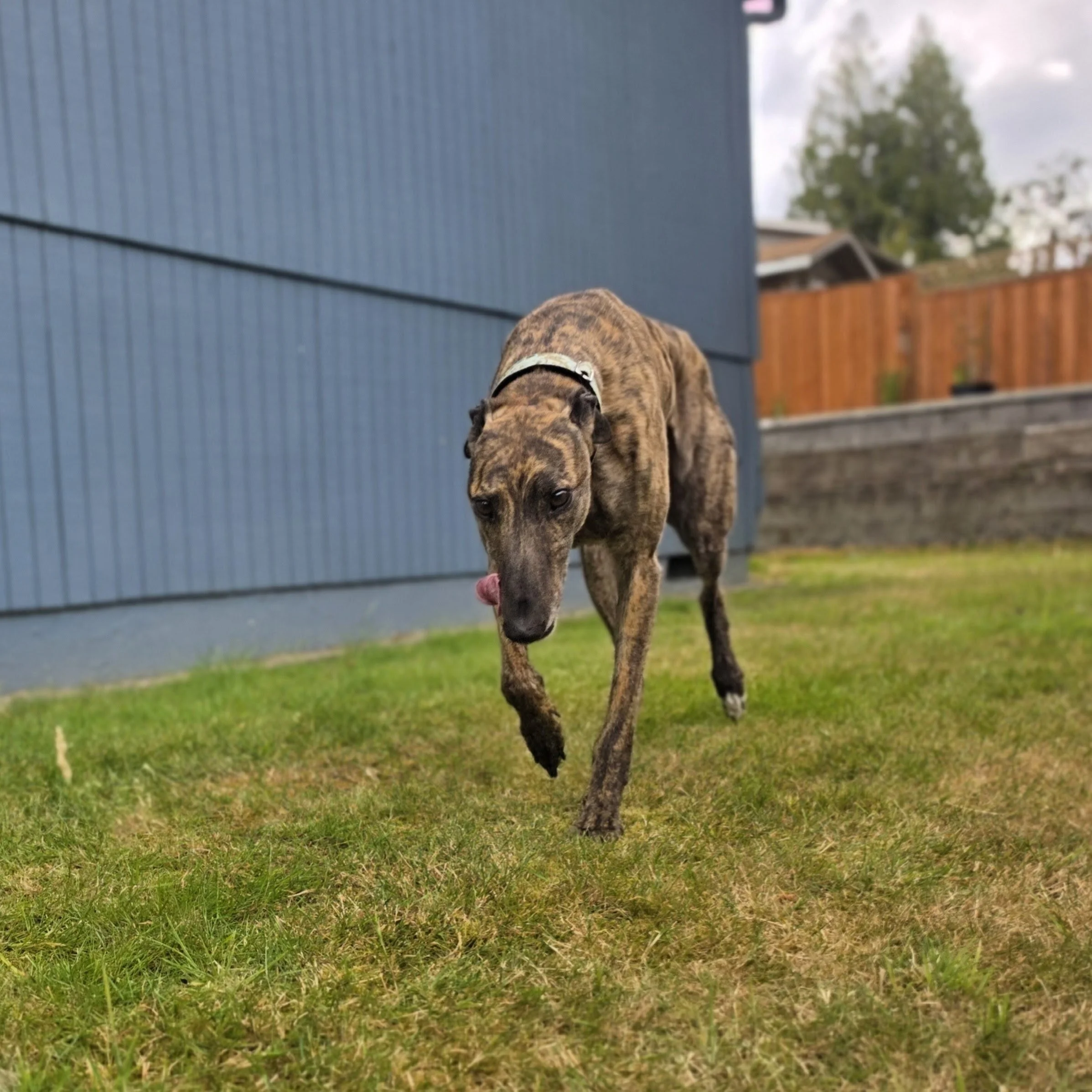 20260801_160843(1).jpg