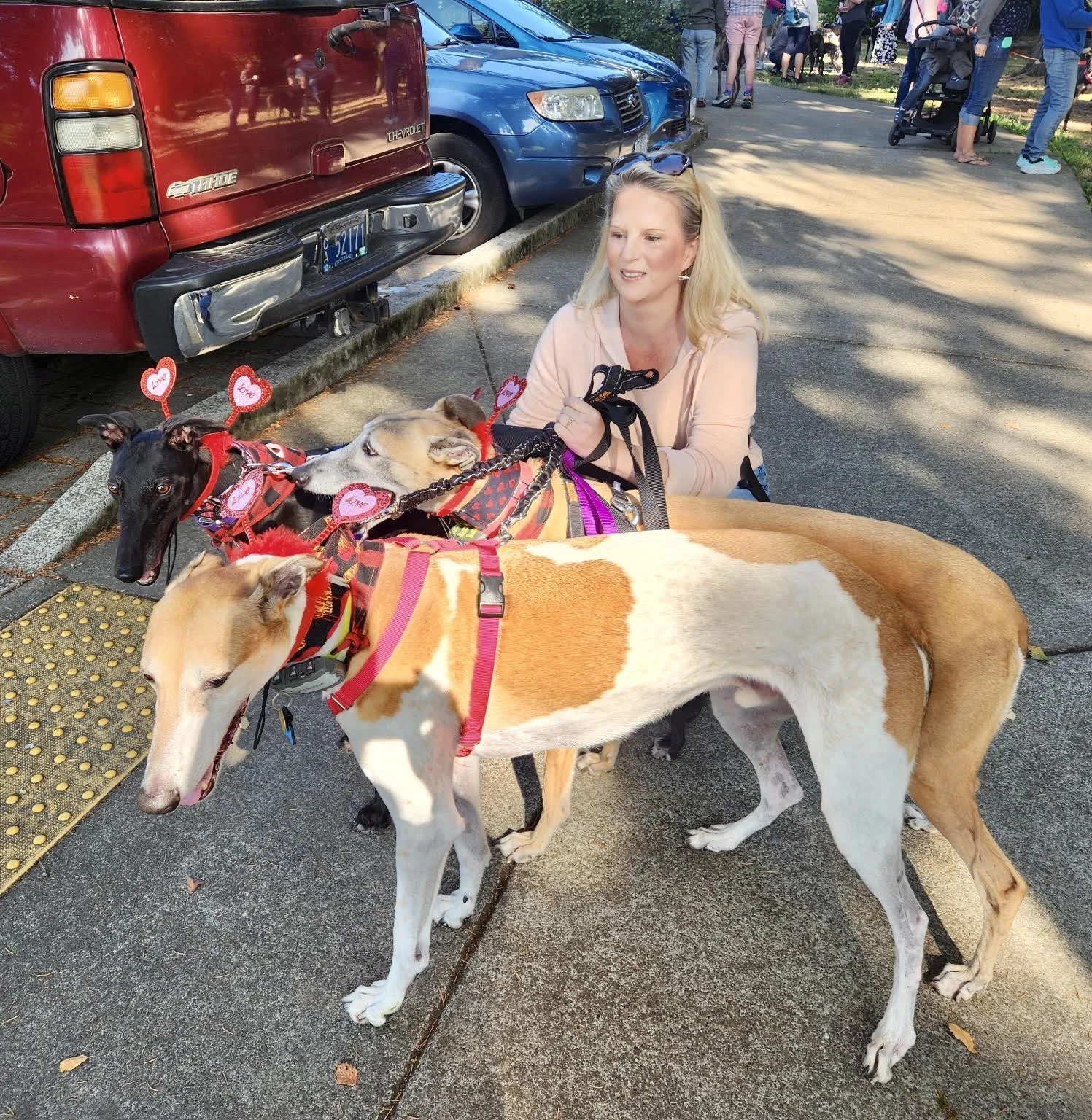 Foster Dasha and Permanent Foster Mose
