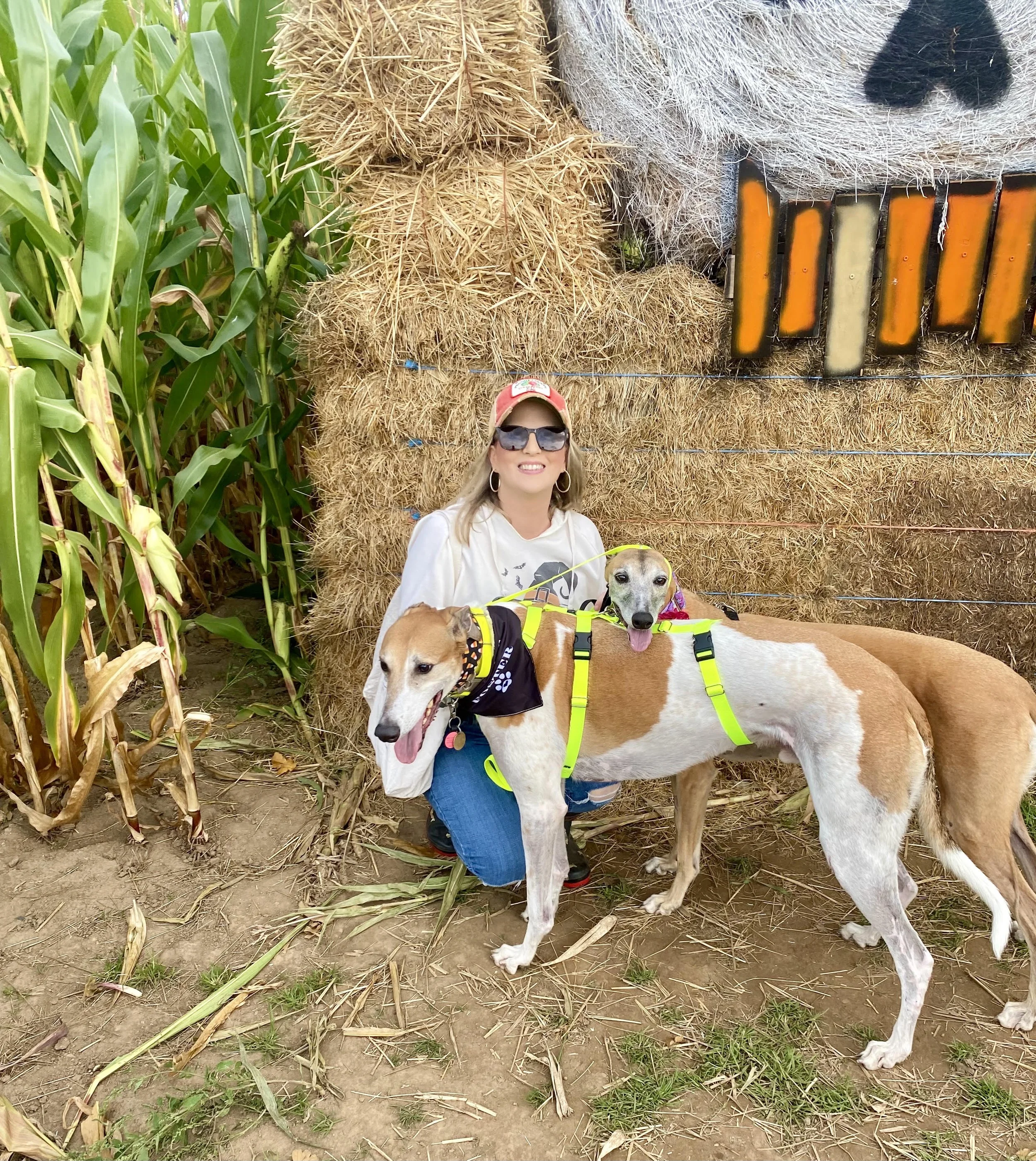 Permanent Medical Foster Mose and Munch