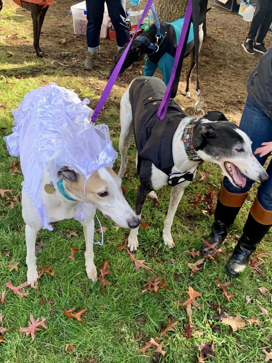 Foster Time and Lloyd at Halloween Romp