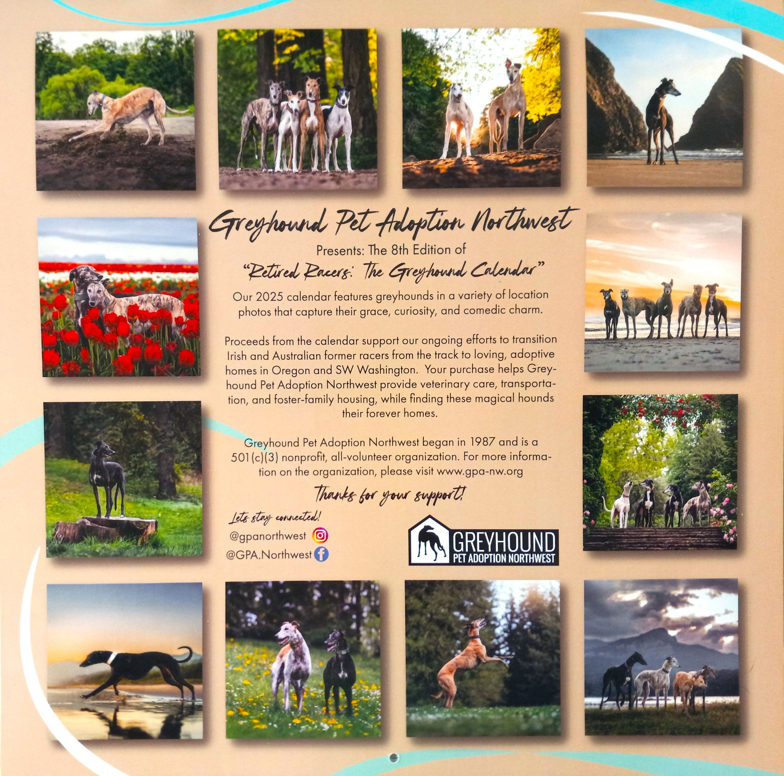 Calendar Back Cover.jpg