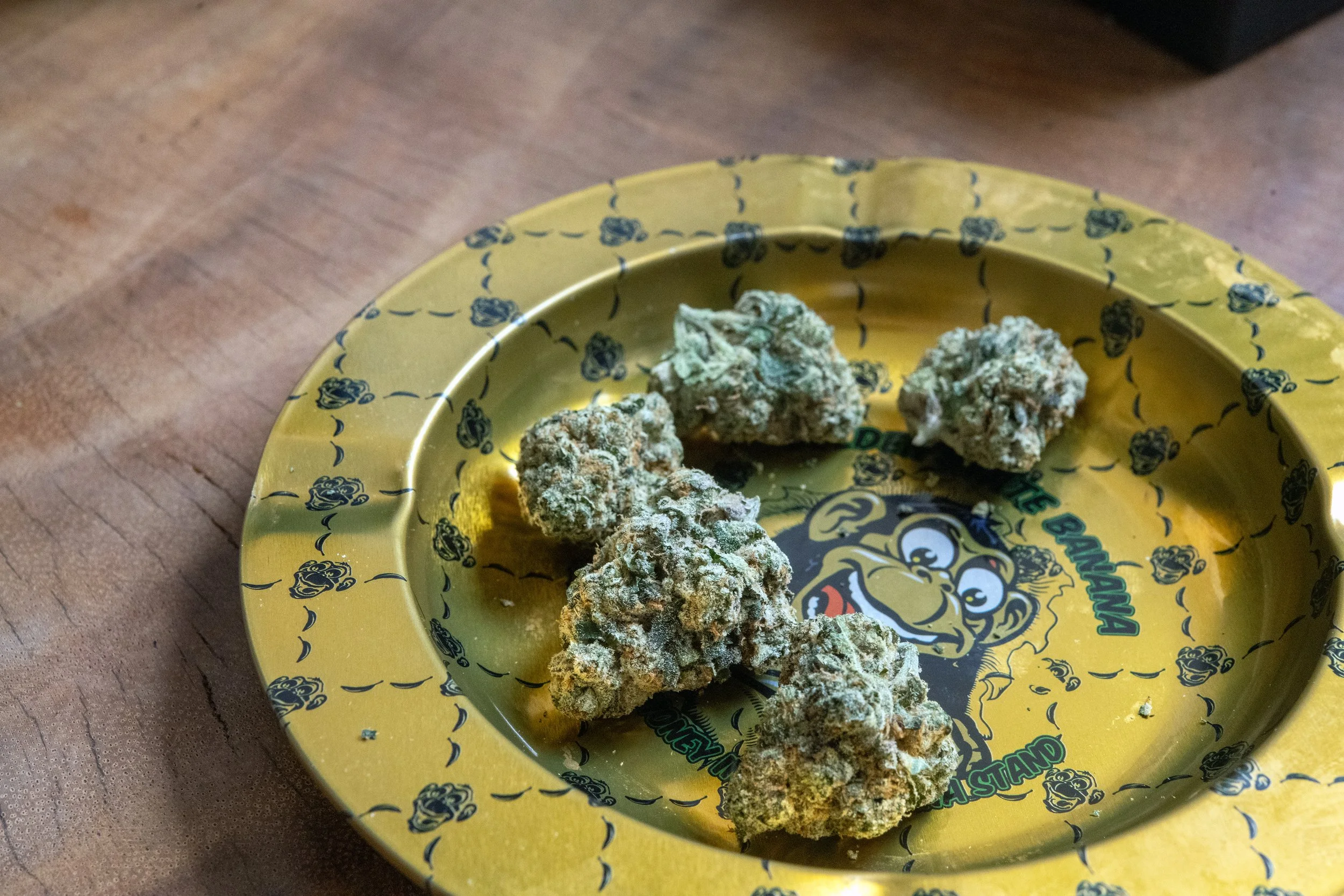 Daniel Krieger Cannabis Photography 1001.jpg