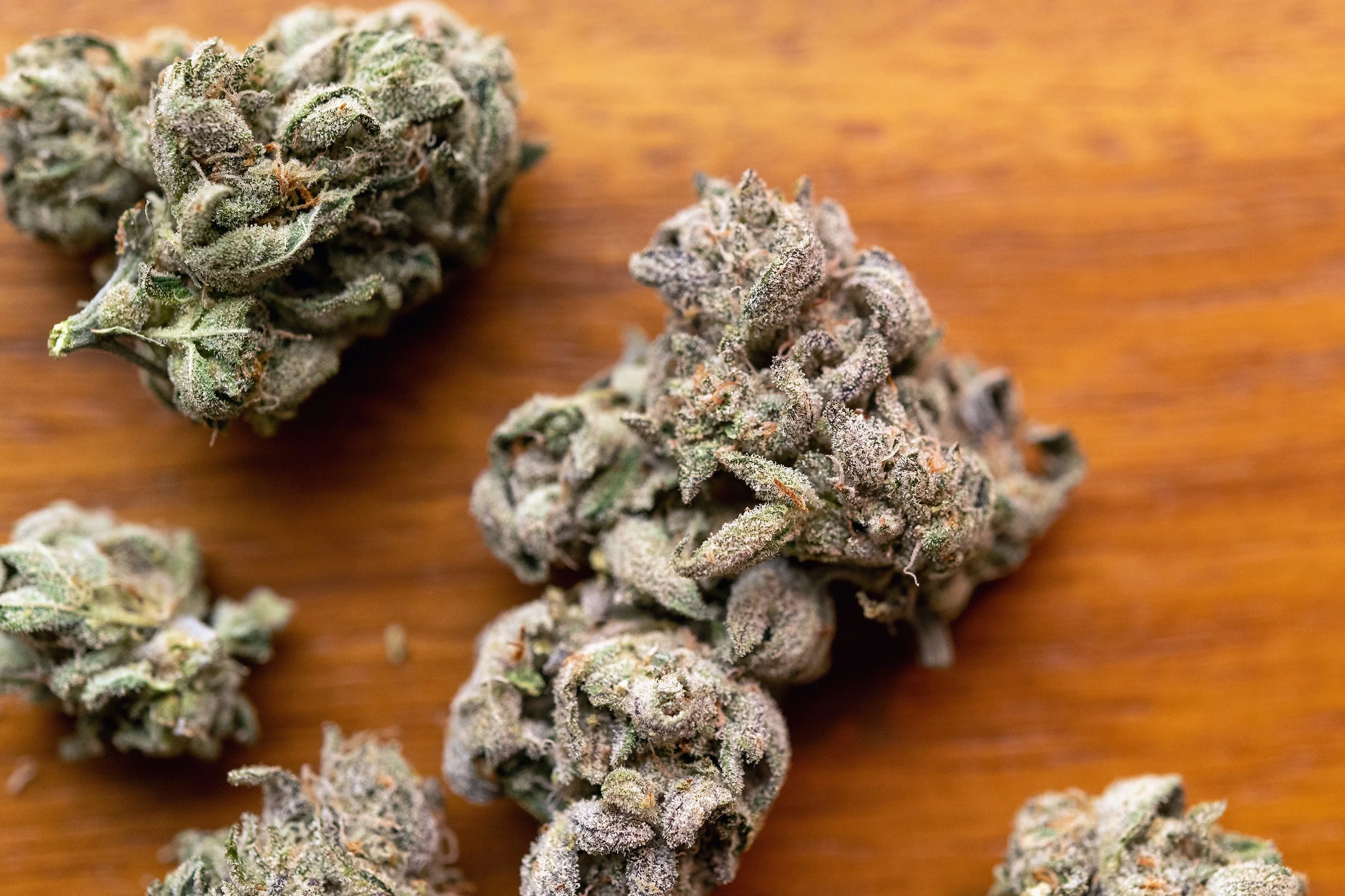 Cannabis photos by Daniel Krieger 1011.jpg