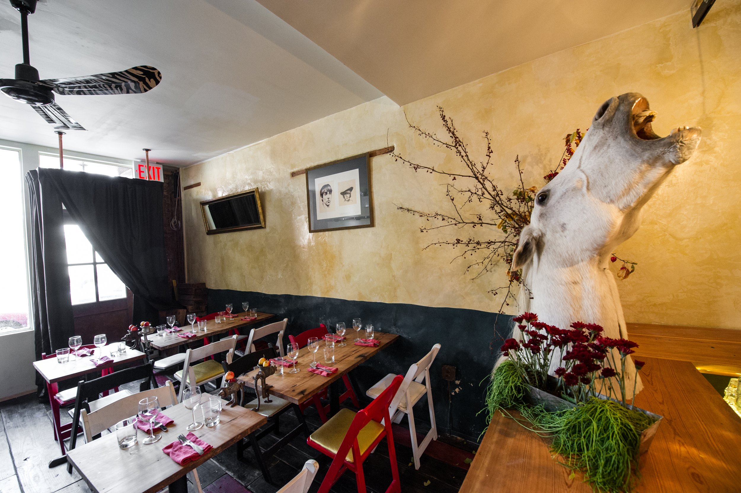 Grindhaus in Red Hook Brooklyn