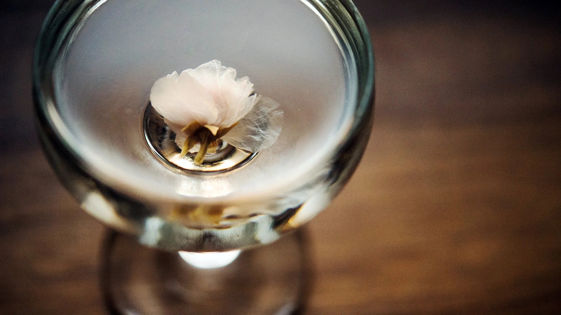Bar Goto Sakura Martini.jpg
