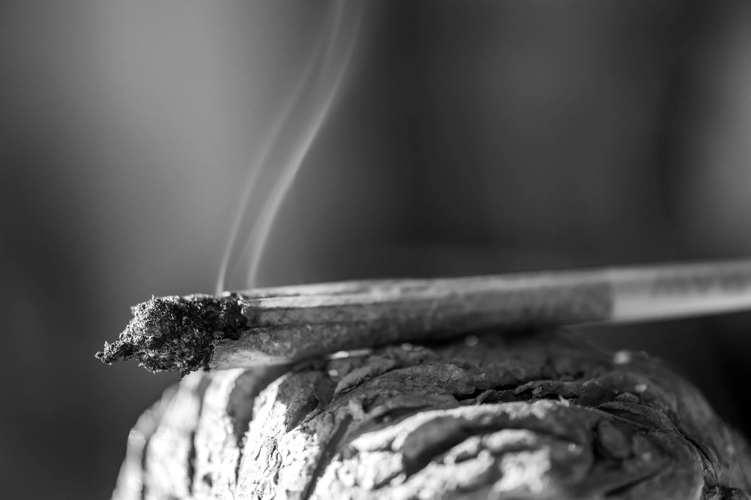 Daniel Krieger Cannabis Photography 1004.jpg