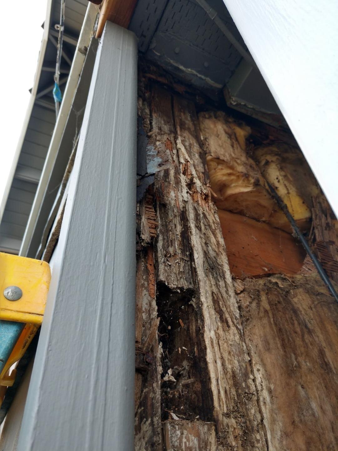1. Rot