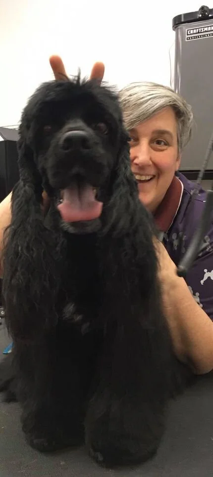 Cocker Baldo Rabbit ears LS.jpg