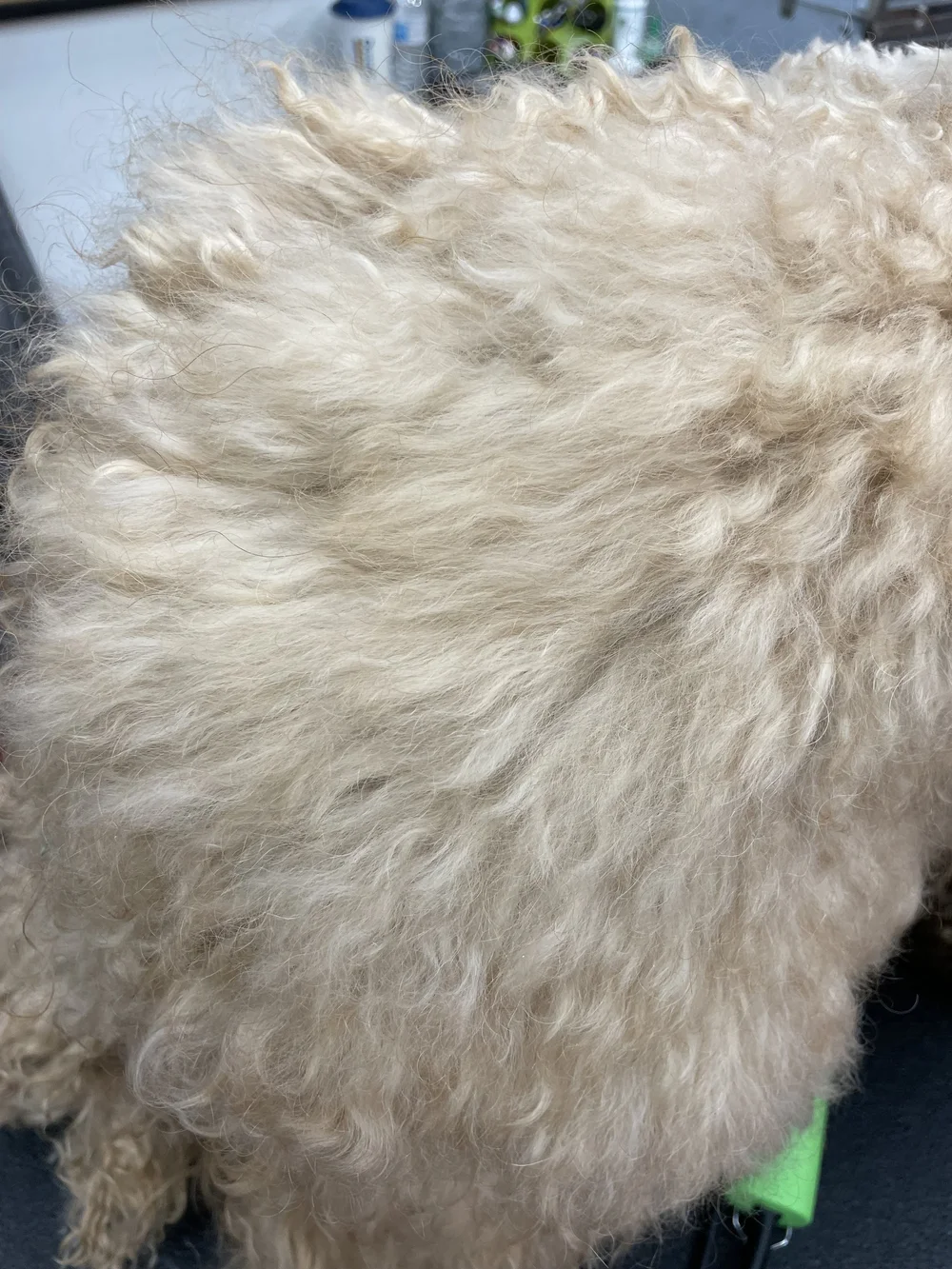 Matting Information — Perky Poodle