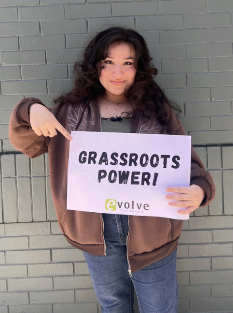 Environmental Injustice in Schools and Communities of Color