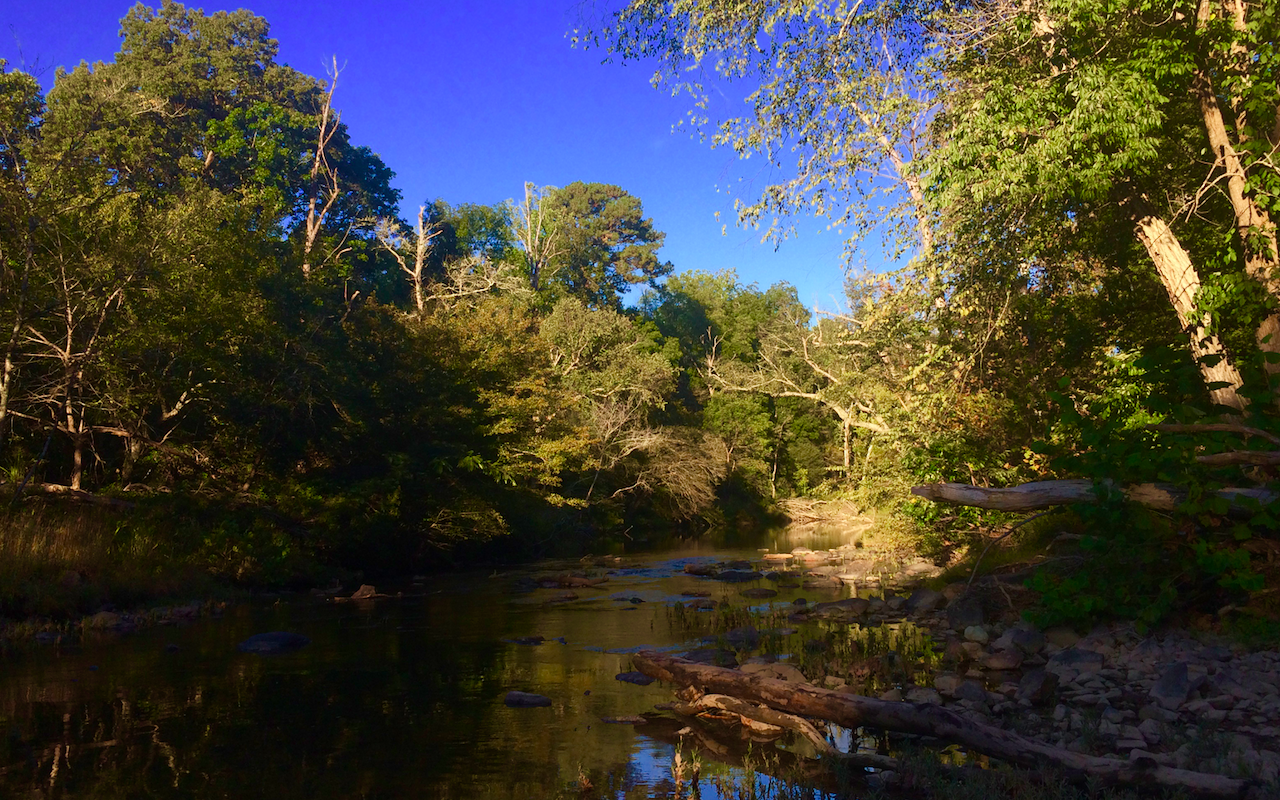 Eno River Exploration - Family Friendly