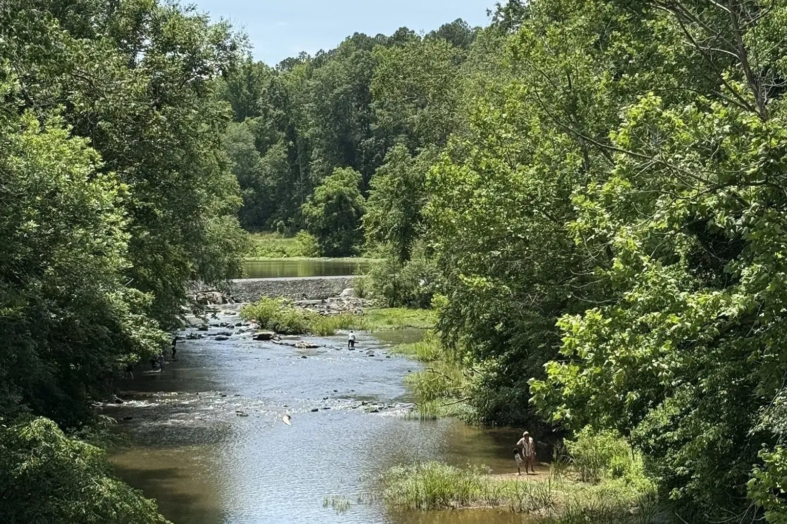 Lit(erature) in Nature Hike: West Point on the Eno