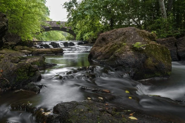 Rep Your Team Hike: Hard Labor Creek State Park