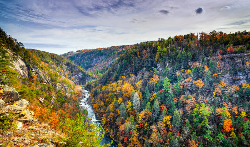 Chasing Fall Colors Hike: Tallulah Gorge State Park