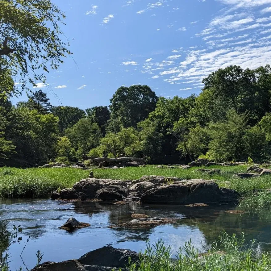 BLK Pride Hike - West Point on the Eno