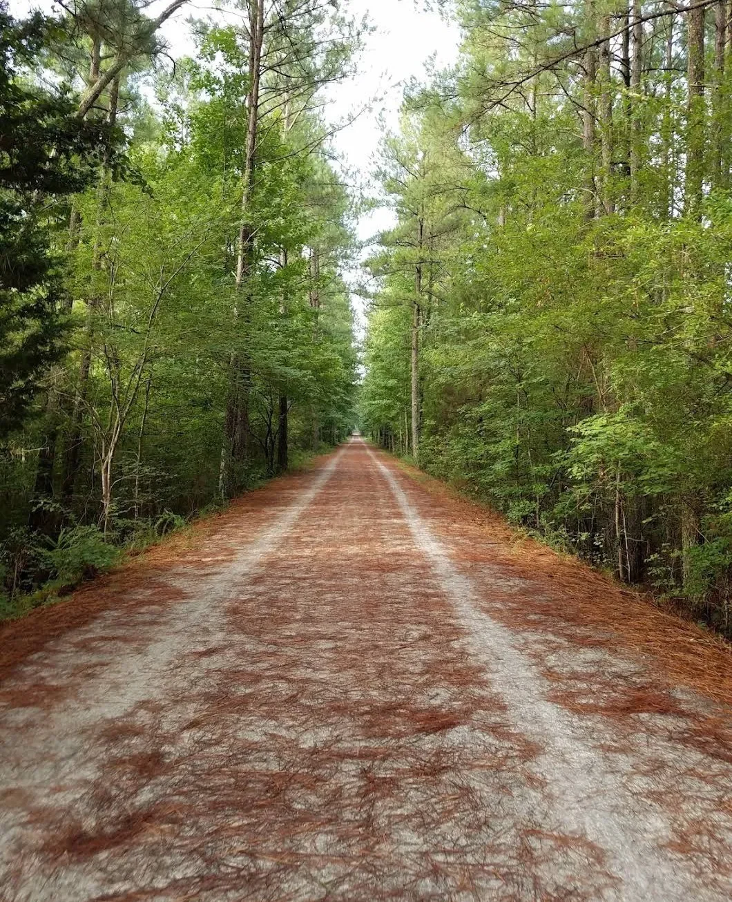 Biking at American Tobacco Trail 