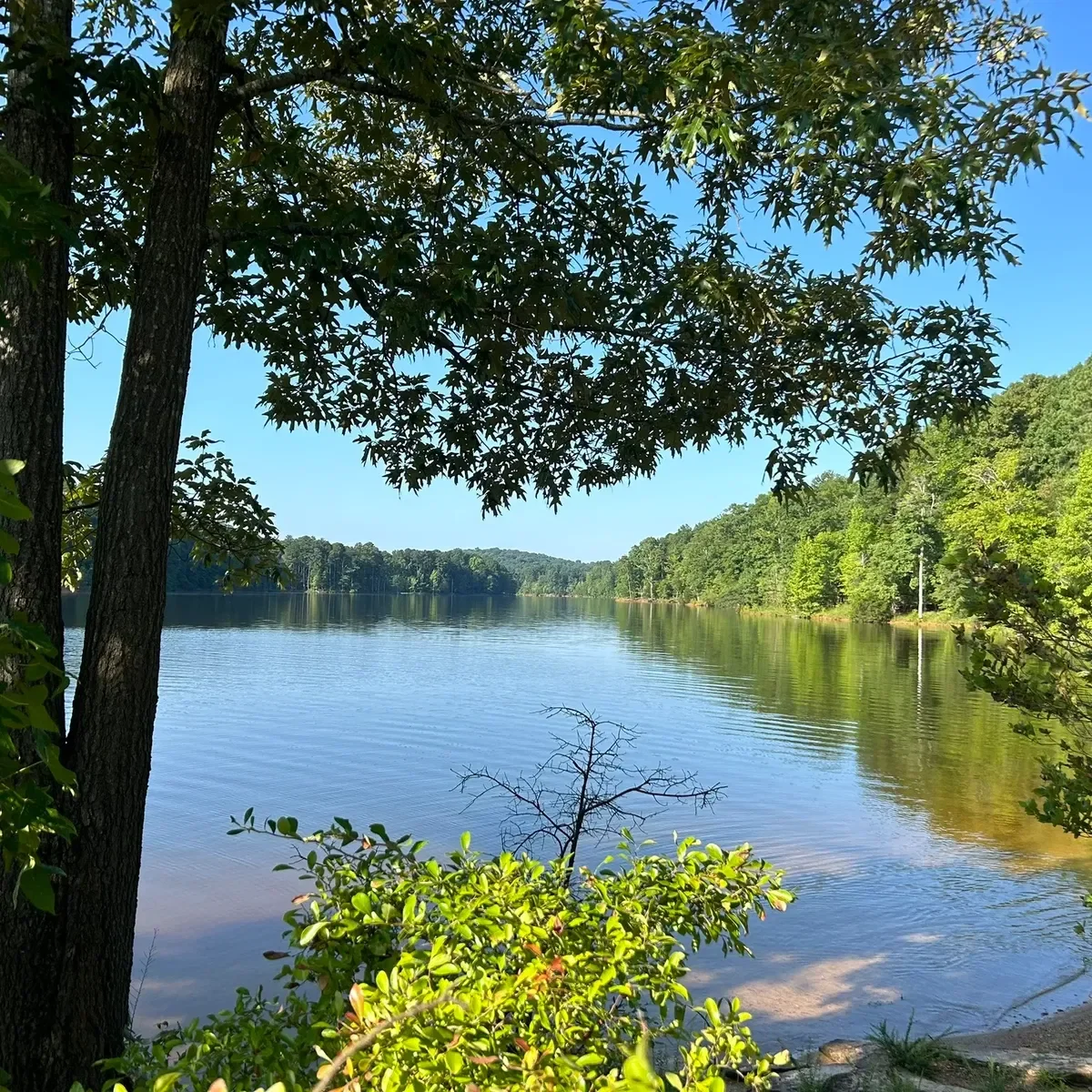 BLK Women's Hike at Falls Lake 