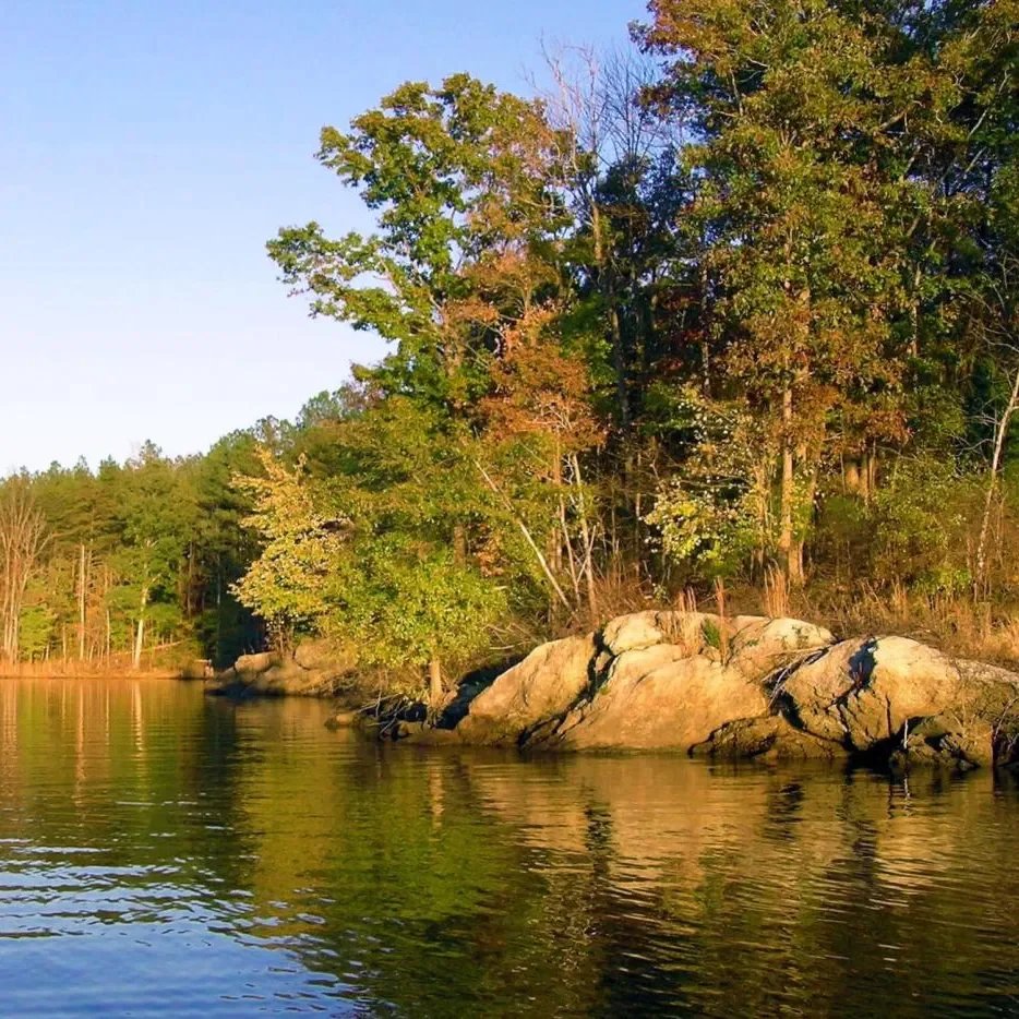 BLK Men's Hike at Falls Lake