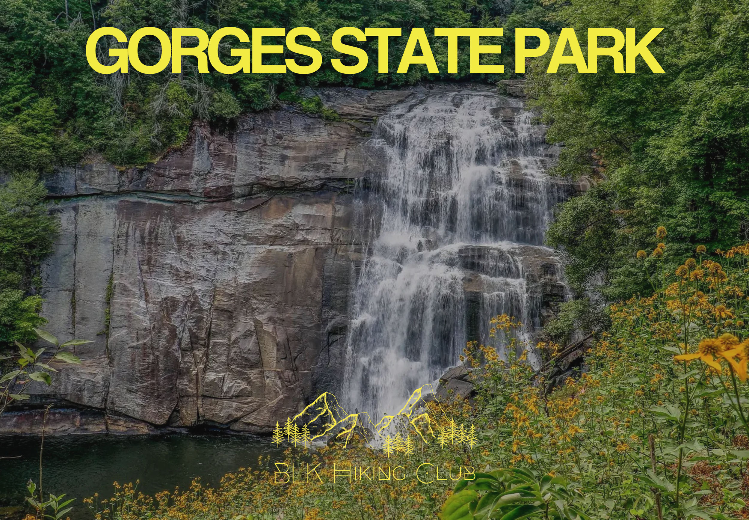 Gorges State Park (NC)