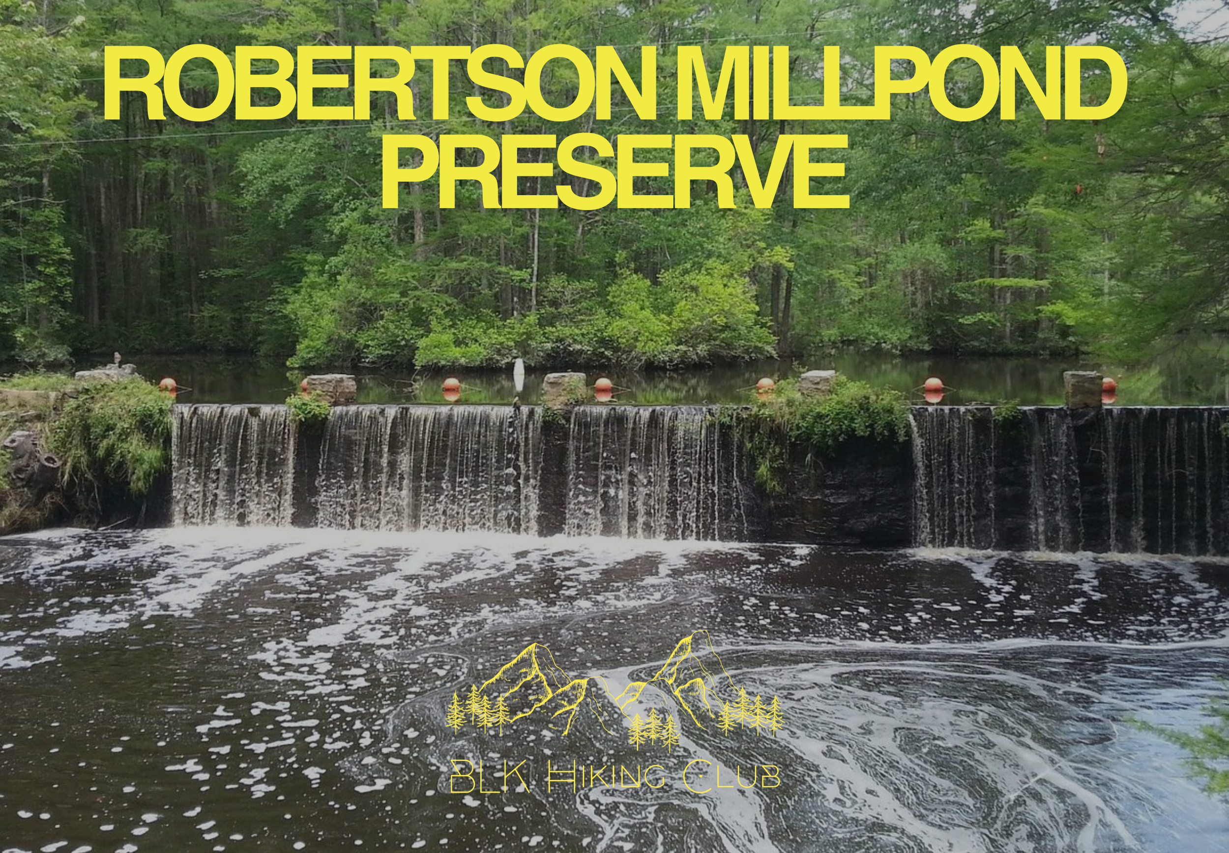 Robertson Millpond Preserve