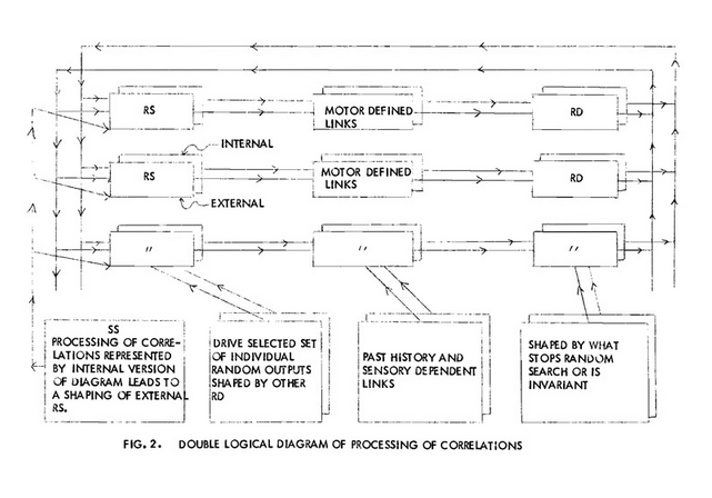 DIAGRAM Fig. 2.   PUTNAM Model of Nervous System 1963